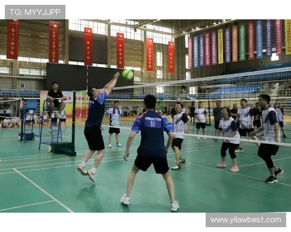 张芳专访：探寻排球背后的成功秘诀与奋斗历程